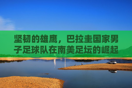 坚韧的雄鹰,巴拉圭国家男子足球队在南美足坛的崛起与辉煌