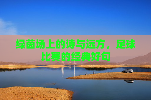 绿茵场上的诗与远方，足球比赛的经典好句