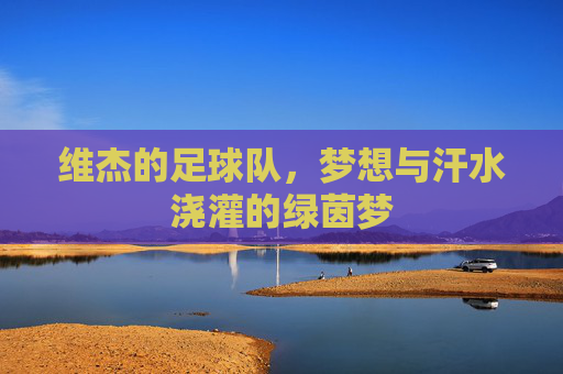 维杰的足球队，梦想与汗水浇灌的绿茵梦