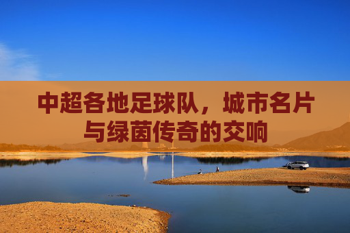中超各地足球队，城市名片与绿茵传奇的交响