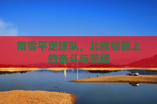南雪平足球队,北欧绿茵上的奋斗与荣耀