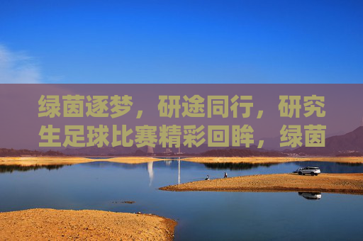 绿茵逐梦,研途同行,研究生足球比赛精彩回眸,绿茵逐梦,研途同行,研究生足球比赛精彩回眸