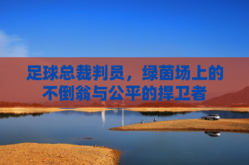 足球总裁判员，绿茵场上的不倒翁与公平的捍卫者