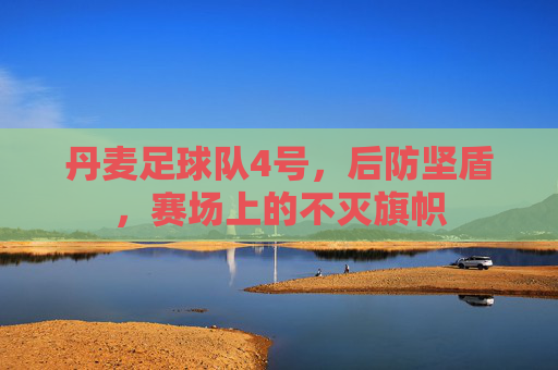 丹麦足球队4号，后防坚盾，赛场上的不灭旗帜