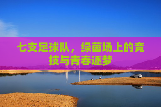 七支足球队，绿茵场上的竞技与青春逐梦