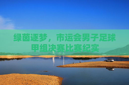绿茵逐梦,市运会男子足球甲组决赛比赛纪实