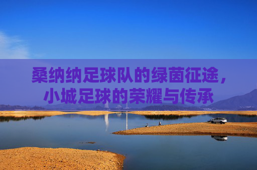 桑纳纳足球队的绿茵征途，小城足球的荣耀与传承