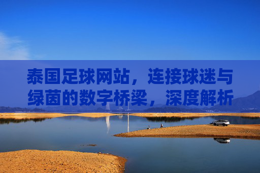 泰国足球网站,连接球迷与绿茵的数字桥梁,深度解析其功能与价值,泰国足球网站,连接球迷与绿茵的数字桥梁——功能与价值深度解析