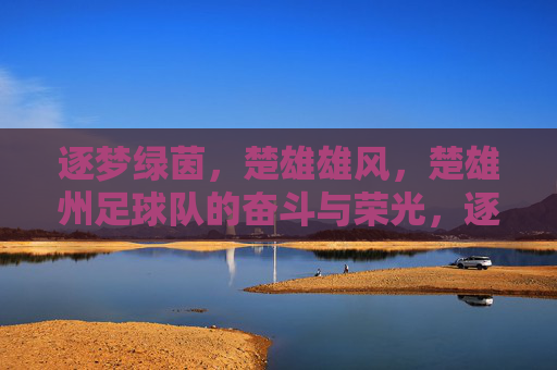逐梦绿茵,楚雄雄风,楚雄州足球队的奋斗与荣光,逐梦绿茵,楚雄雄风,楚雄州足球队的奋斗与荣光
