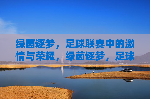 绿茵逐梦，足球联赛中的激情与荣耀，绿茵逐梦，足球联赛中的激情与荣耀