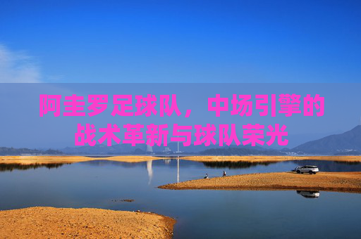 阿圭罗足球队,中场引擎的战术革新与球队荣光