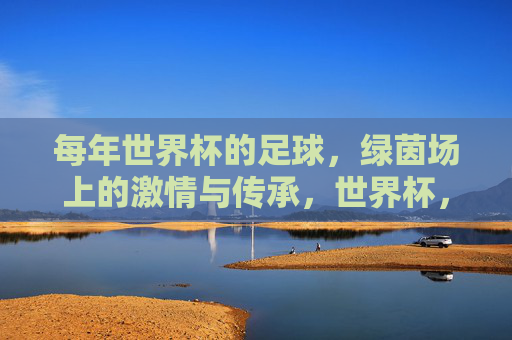 每年世界杯的足球,绿茵场上的激情与传承,世界杯,绿茵场上的激情与足球传承
