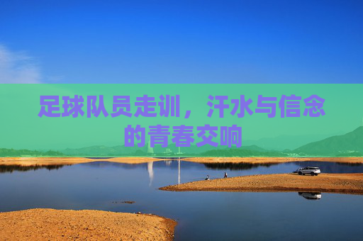 足球队员走训，汗水与信念的青春交响