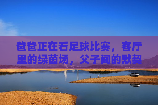 爸爸正在看足球比赛,客厅里的绿茵场,父子间的默契,客厅里的绿茵场,爸爸与儿子的足球默契