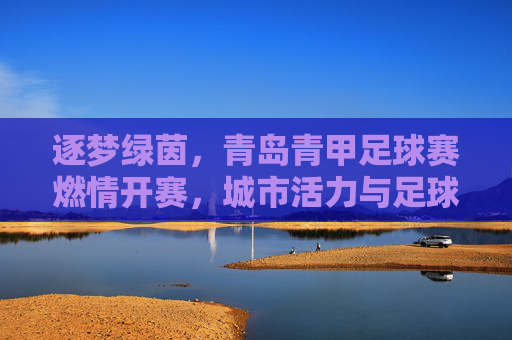 逐梦绿茵，青岛青甲足球赛燃情开赛，城市活力与足球激情的完美融合