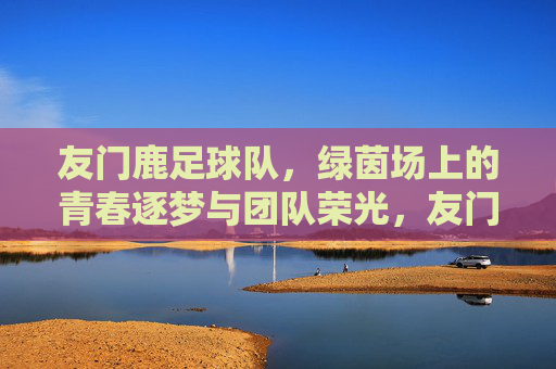友门鹿足球队，绿茵场上的青春逐梦与团队荣光，友门鹿足球队，绿茵场上的青春逐梦与团队荣光