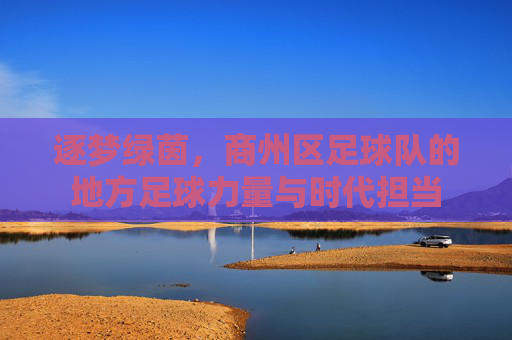 逐梦绿茵,商州区足球队的地方足球力量与时代担当