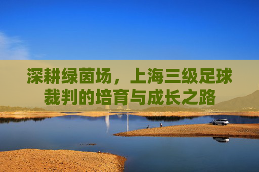 深耕绿茵场，上海三级足球裁判的培育与成长之路