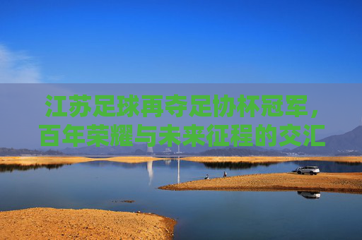 江苏足球再夺足协杯冠军,百年荣耀与未来征程的交汇点
