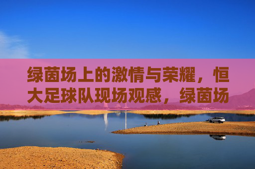 绿茵场上的激情与荣耀，恒大足球队现场观感，绿茵场上的激情与荣耀，恒大足球队现场观感