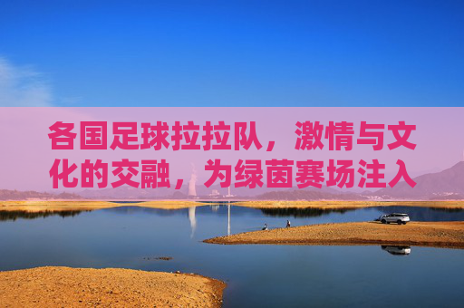 各国足球拉拉队，激情与文化的交融，为绿茵赛场注入灵魂，各国足球拉拉队，激情与文化的交融，为绿茵赛场注入灵魂