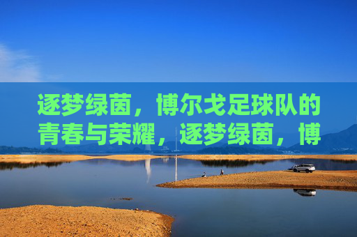逐梦绿茵，博尔戈足球队的青春与荣耀，逐梦绿茵，博尔戈足球队的青春与荣耀