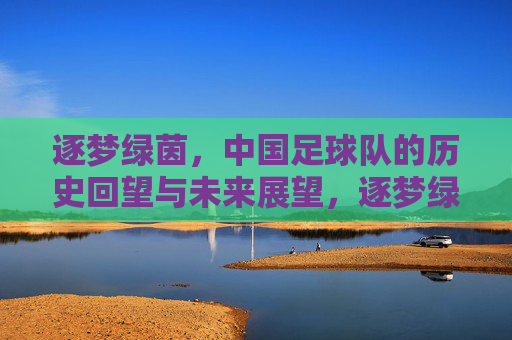 逐梦绿茵,中国足球队的历史回望与未来展望,逐梦绿茵,中国足球队的历史回望与未来展望