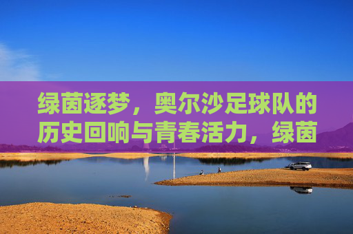 绿茵逐梦,奥尔沙足球队的历史回响与青春活力,绿茵逐梦,奥尔沙足球队的历史回响与青春活力