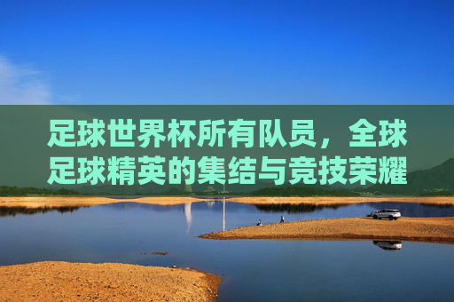 足球世界杯所有队员，全球足球精英的集结与竞技荣耀，足球世界杯，全球足球精英的集结与竞技荣耀