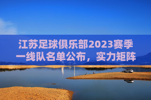 江苏足球俱乐部2023赛季一线队名单公布,实力矩阵与未来期待