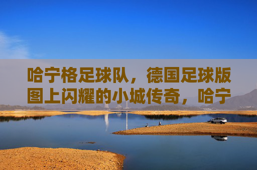 哈宁格足球队，德国足球版图上闪耀的小城传奇，哈宁格足球队，德国足球版图上闪耀的小城传奇