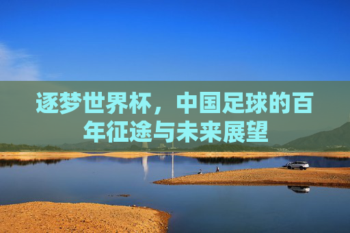逐梦世界杯,中国足球的百年征途与未来展望