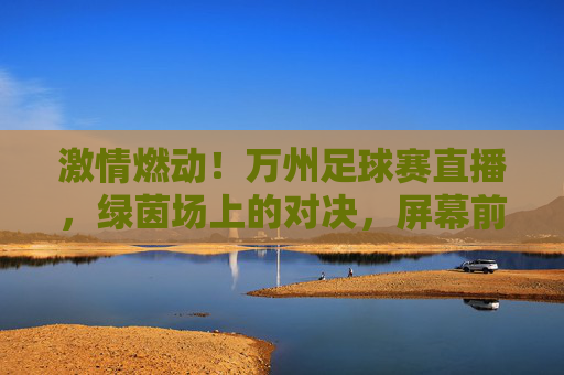 激情燃动！万州足球赛直播，绿茵场上的对决，屏幕前的共鸣，激情燃动！万州足球赛直播，绿茵场上的对决，屏幕前的共鸣