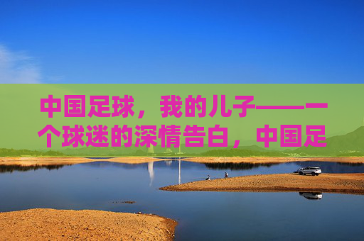 中国足球,我的儿子——一个球迷的深情告白,中国足球,我的儿子——一个球迷的深情告白