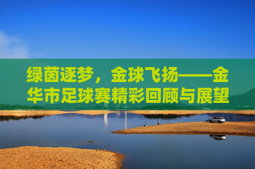 绿茵逐梦，金球飞扬——金华市足球赛精彩回顾与展望