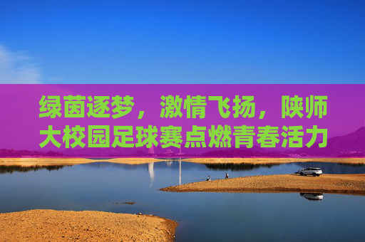 绿茵逐梦,激情飞扬,陕师大校园足球赛点燃青春活力与竞技精神