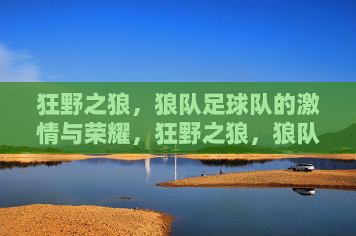 狂野之狼，狼队足球队的激情与荣耀，狂野之狼，狼队足球队的激情与荣耀