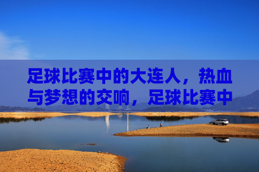 足球比赛中的大连人，热血与梦想的交响，足球比赛中的大连人，热血与梦想的交响