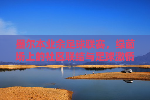墨尔本业余足球联赛，绿茵场上的社区联结与足球激情