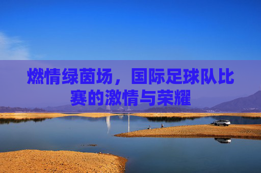 燃情绿茵场,国际足球队比赛的激情与荣耀