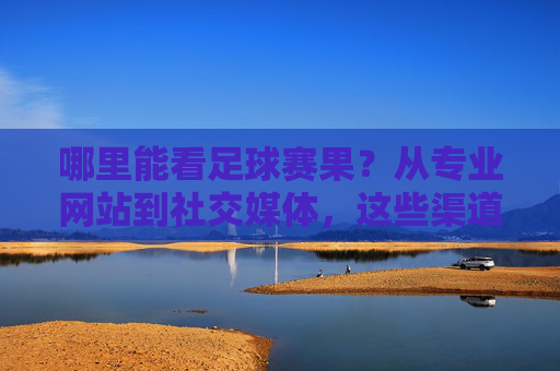 哪里能看足球赛果？从专业网站到社交媒体，这些渠道助你实时追踪比赛动态