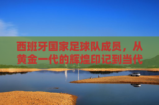 西班牙国家足球队成员,从黄金一代的辉煌印记到当代的传承力量,西班牙国家足球队,从黄金一代的辉煌印记到当代的传承力量