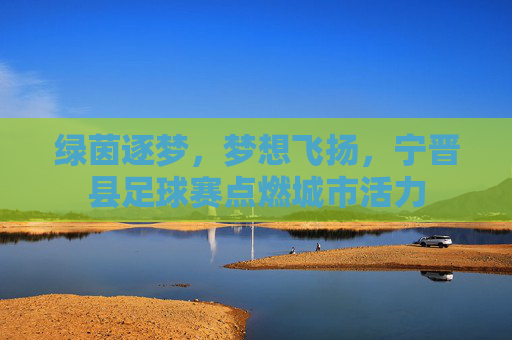 绿茵逐梦,梦想飞扬,宁晋县足球赛点燃城市活力