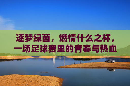 逐梦绿茵，燃情什么之杯，一场足球赛里的青春与热血