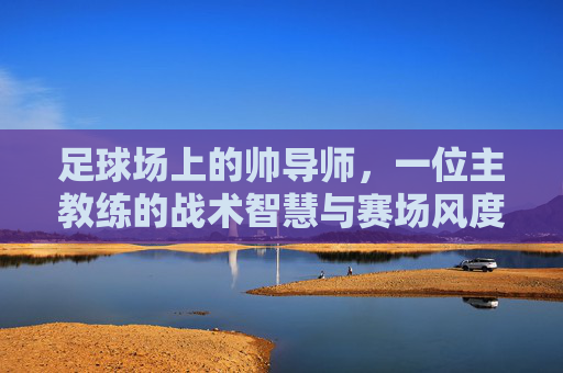 足球场上的帅导师,一位主教练的战术智慧与赛场风度