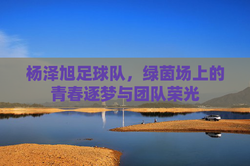杨泽旭足球队,绿茵场上的青春逐梦与团队荣光