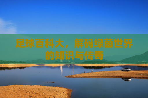 足球百科大,解码绿茵世界的知识与传奇