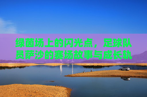 绿茵场上的闪光点，足球队员萨沙的赛场故事与成长轨迹