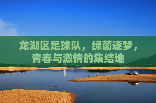 龙湖区足球队,绿茵逐梦,青春与激情的集结地