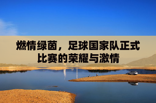 燃情绿茵，足球国家队正式比赛的荣耀与激情
